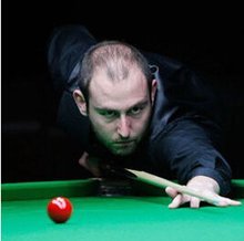 河南的胜利 河南的胜利